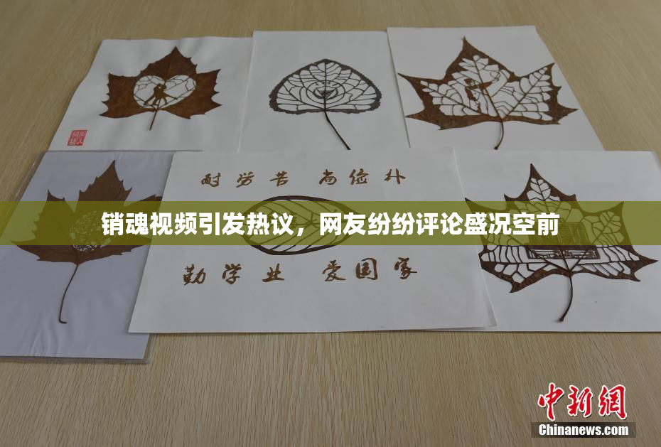 销魂视频引发热议，网友纷纷评论盛况空前