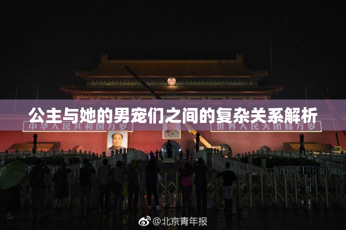 公主与她的男宠们之间的复杂关系解析
