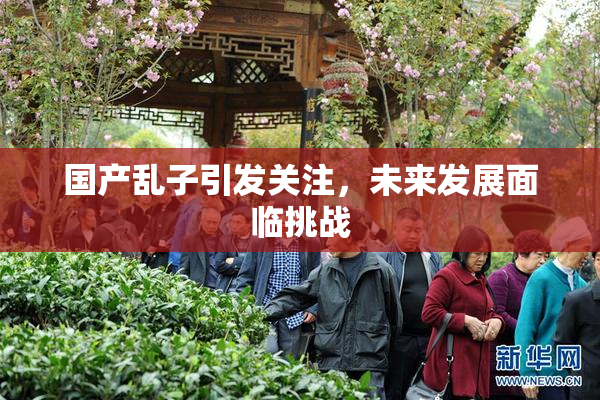 国产乱子引发关注，未来发展面临挑战