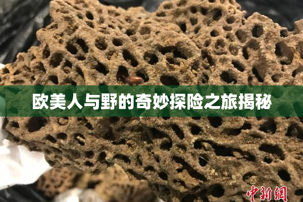 欧美人与野的奇妙探险之旅揭秘
