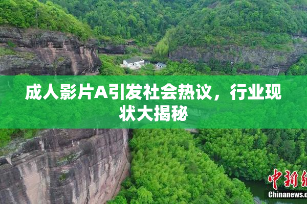 成人影片A引发社会热议，行业现状大揭秘