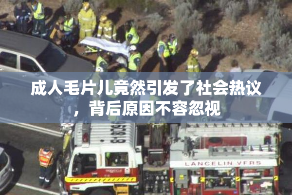 成人毛片儿竟然引发了社会热议，背后原因不容忽视
