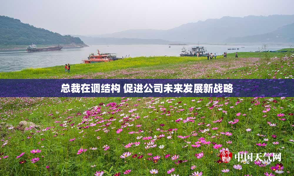 总裁在调结构 促进公司未来发展新战略