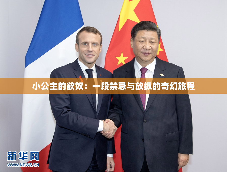 小公主的欲奴：一段禁忌与放纵的奇幻旅程