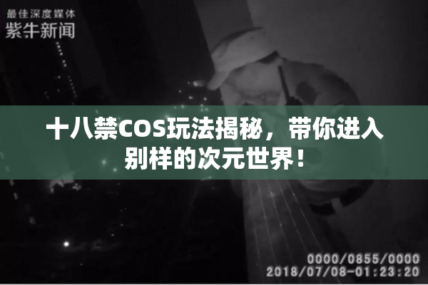 十八禁COS玩法揭秘，带你进入别样的次元世界！
