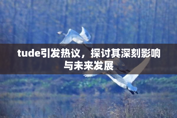 tude引发热议，探讨其深刻影响与未来发展