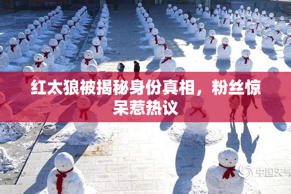 红太狼被揭秘身份真相，粉丝惊呆惹热议