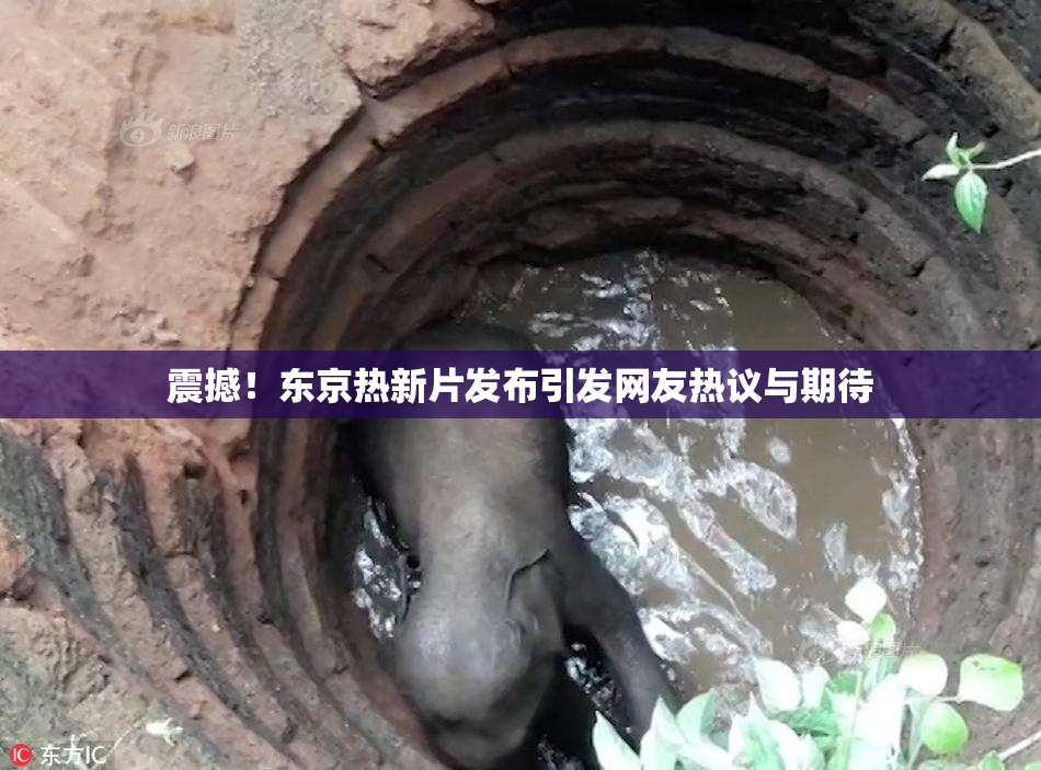震撼！东京热新片发布引发网友热议与期待