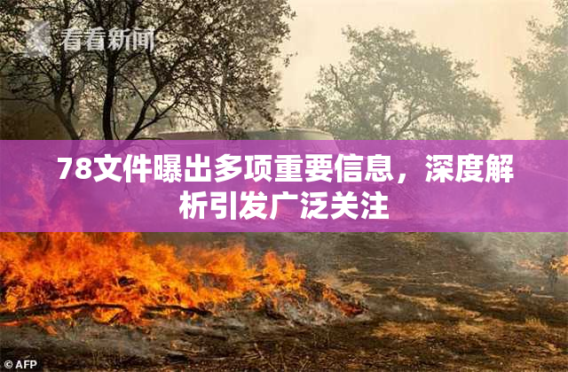 78文件曝出多项重要信息，深度解析引发广泛关注