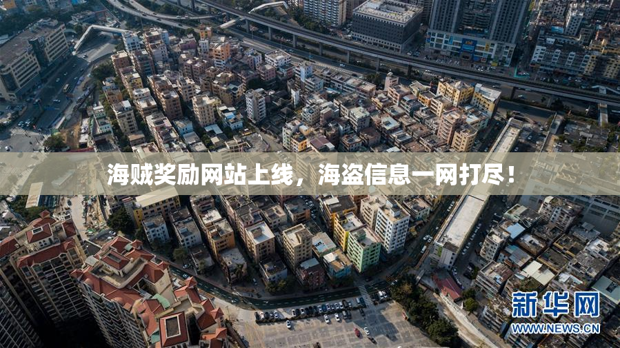 海贼奖励网站上线，海盗信息一网打尽！