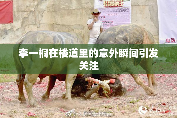 李一桐在楼道里的意外瞬间引发关注