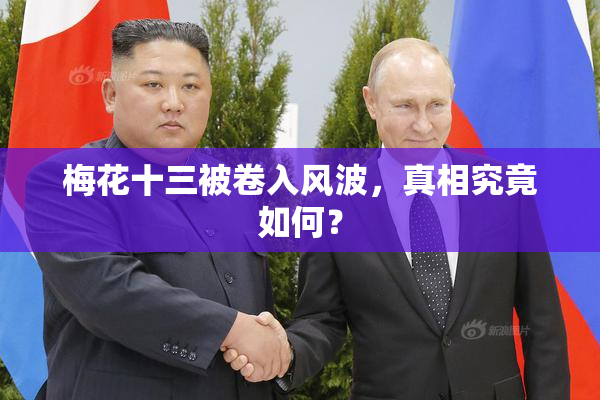 梅花十三被卷入风波，真相究竟如何？
