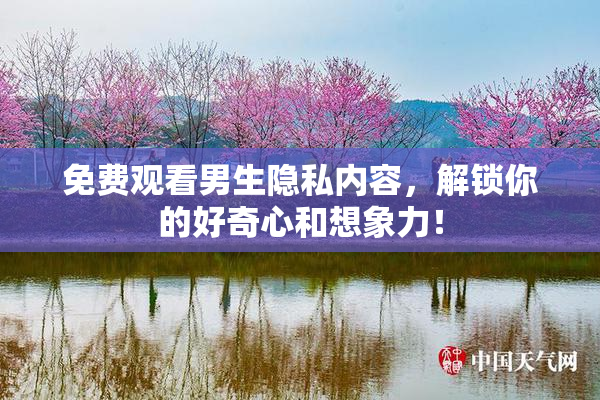 免费观看男生隐私内容，解锁你的好奇心和想象力！