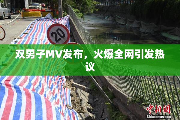 双男子MV发布，火爆全网引发热议