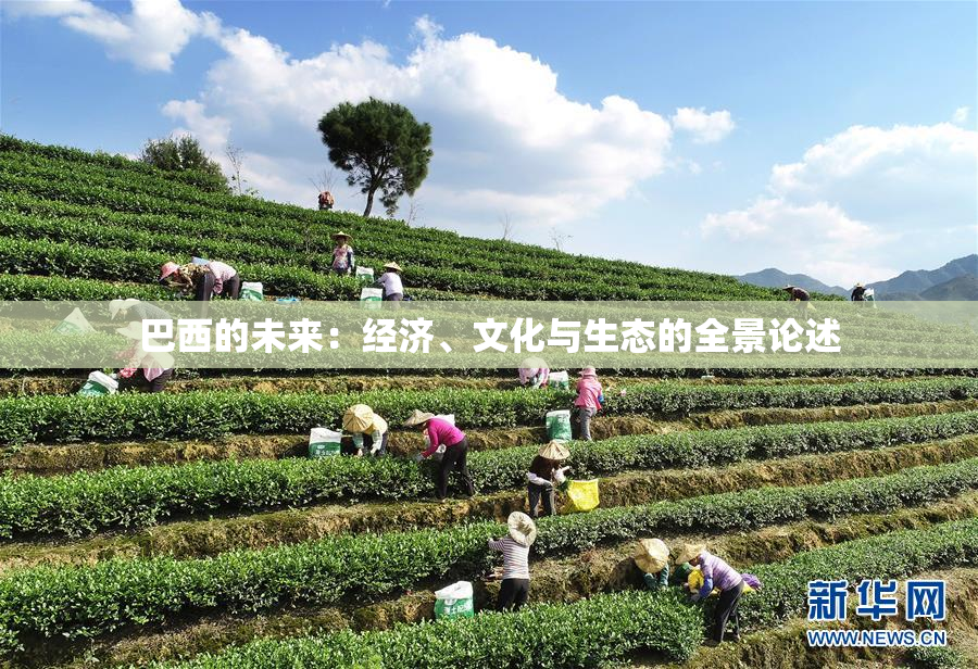 巴西的未来：经济、文化与生态的全景论述