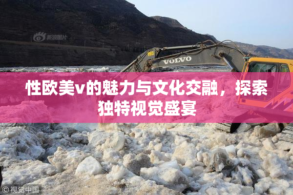 性欧美v的魅力与文化交融，探索独特视觉盛宴