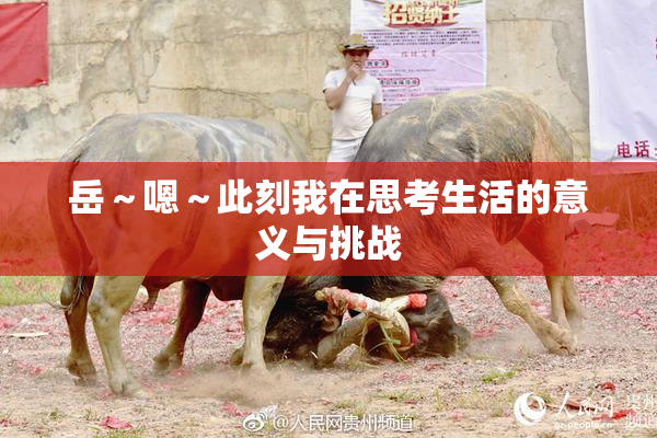 岳～嗯～此刻我在思考生活的意义与挑战