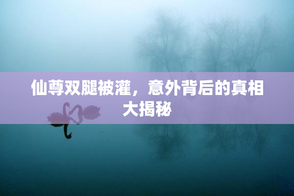 仙尊双腿被灌，意外背后的真相大揭秘