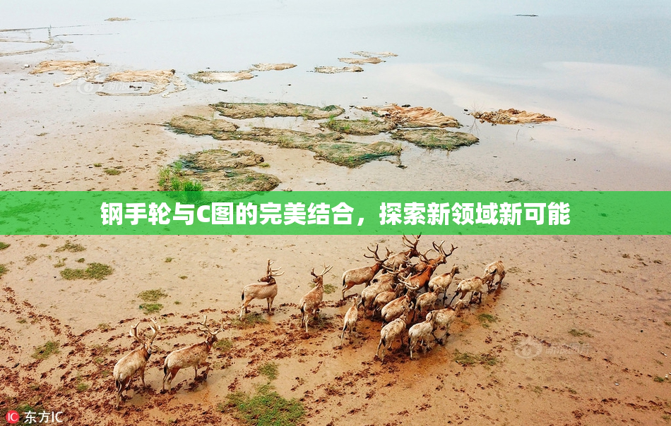 钢手轮与C图的完美结合，探索新领域新可能