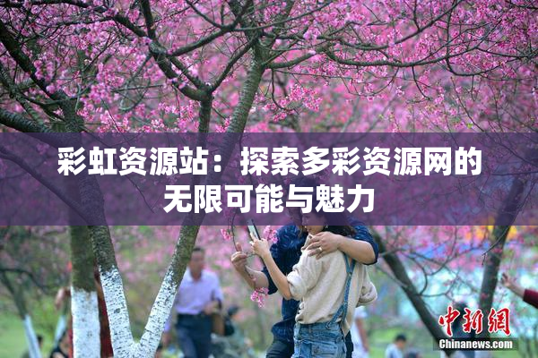 彩虹资源站：探索多彩资源网的无限可能与魅力