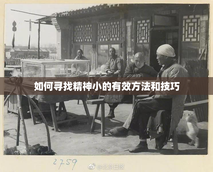 如何寻找精神小的有效方法和技巧