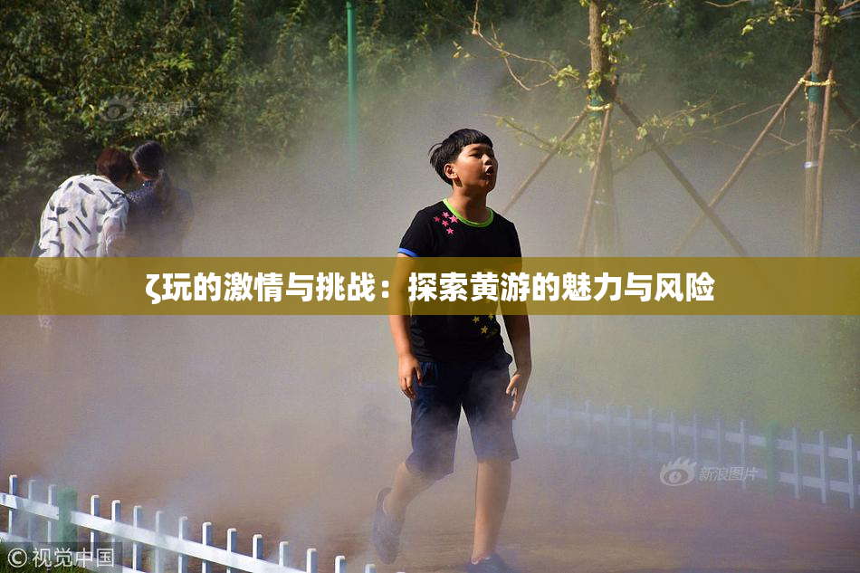 ζ玩的激情与挑战：探索黄游的魅力与风险