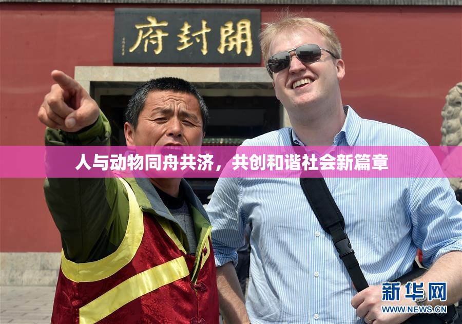 人与动物同舟共济，共创和谐社会新篇章