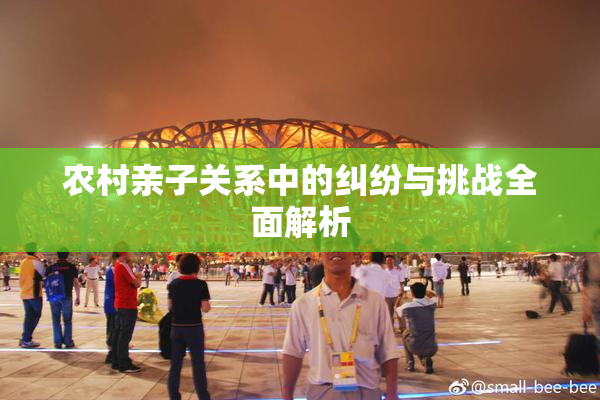 农村亲子关系中的纠纷与挑战全面解析