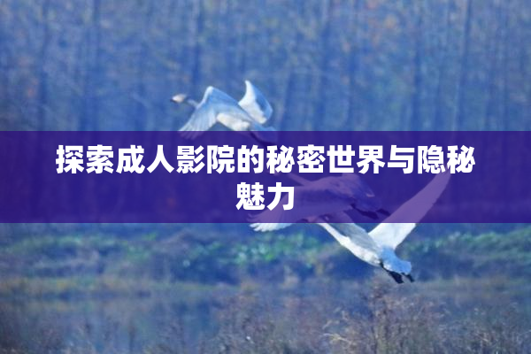 探索成人影院的秘密世界与隐秘魅力