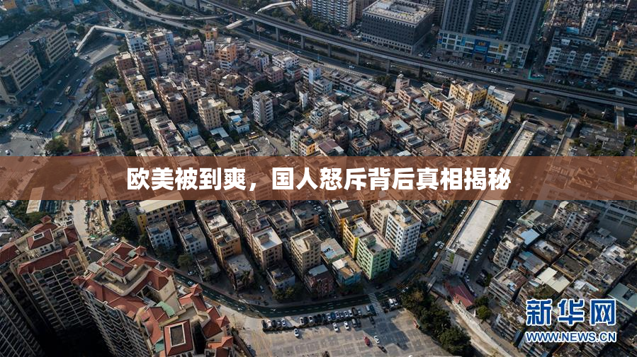 欧美被到爽，国人怒斥背后真相揭秘