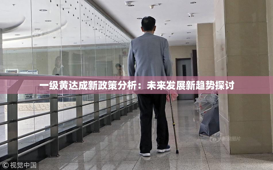 一级黄达成新政策分析：未来发展新趋势探讨