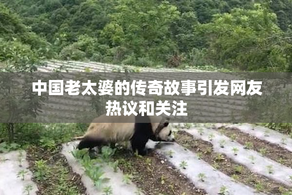中国老太婆的传奇故事引发网友热议和关注