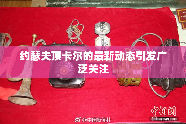 约瑟夫顶卡尔的最新动态引发广泛关注