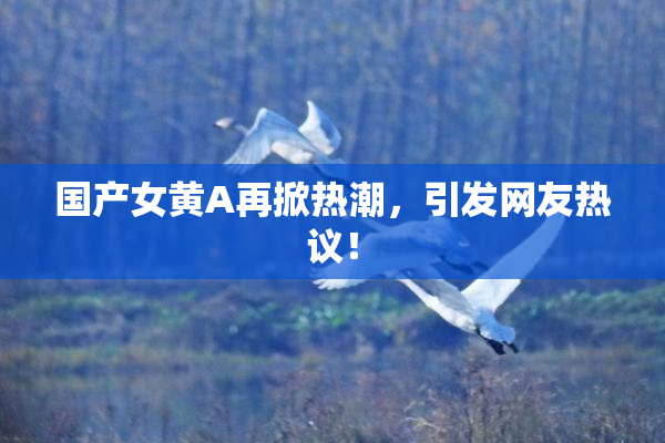 国产女黄A再掀热潮，引发网友热议！