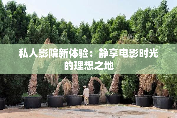 私人影院新体验：静享电影时光的理想之地