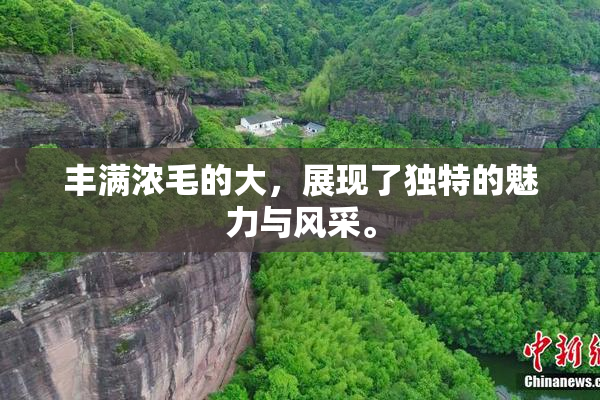 丰满浓毛的大，展现了独特的魅力与风采。