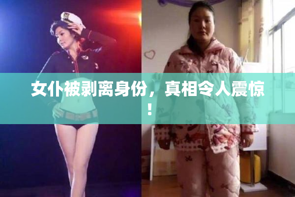女仆被剥离身份，真相令人震惊！