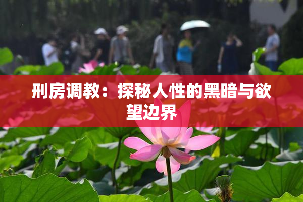 刑房调教：探秘人性的黑暗与欲望边界