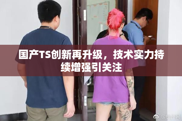 国产TS创新再升级，技术实力持续增强引关注