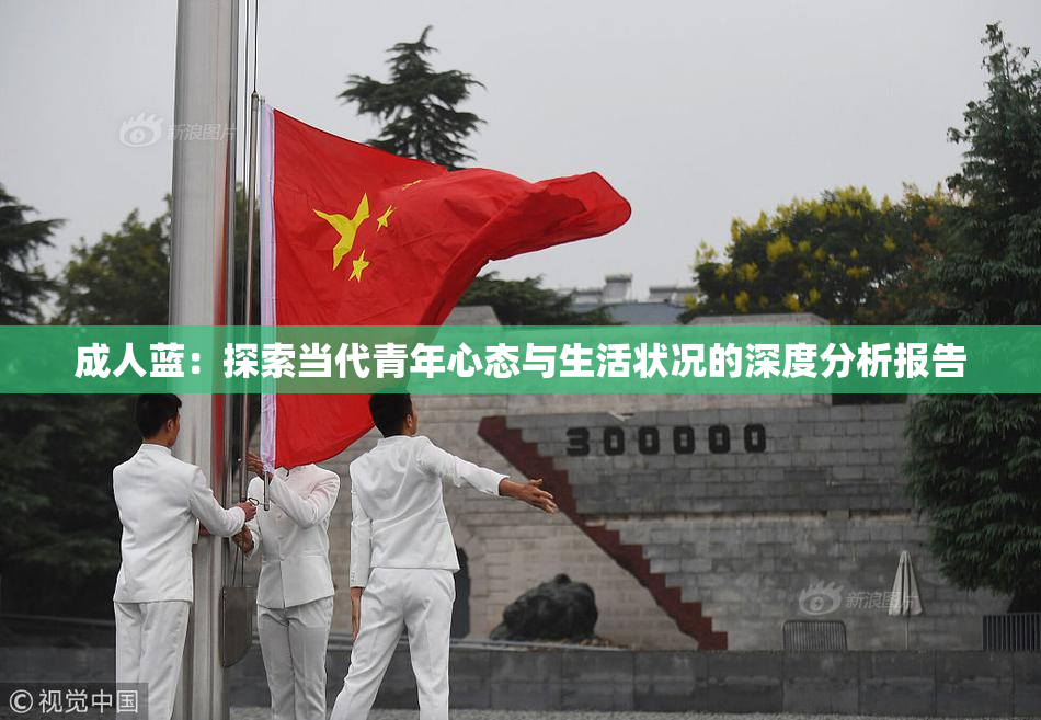 成人蓝：探索当代青年心态与生活状况的深度分析报告