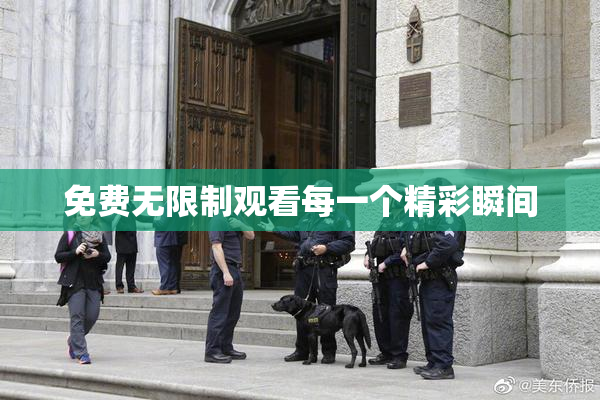 免费无限制观看每一个精彩瞬间