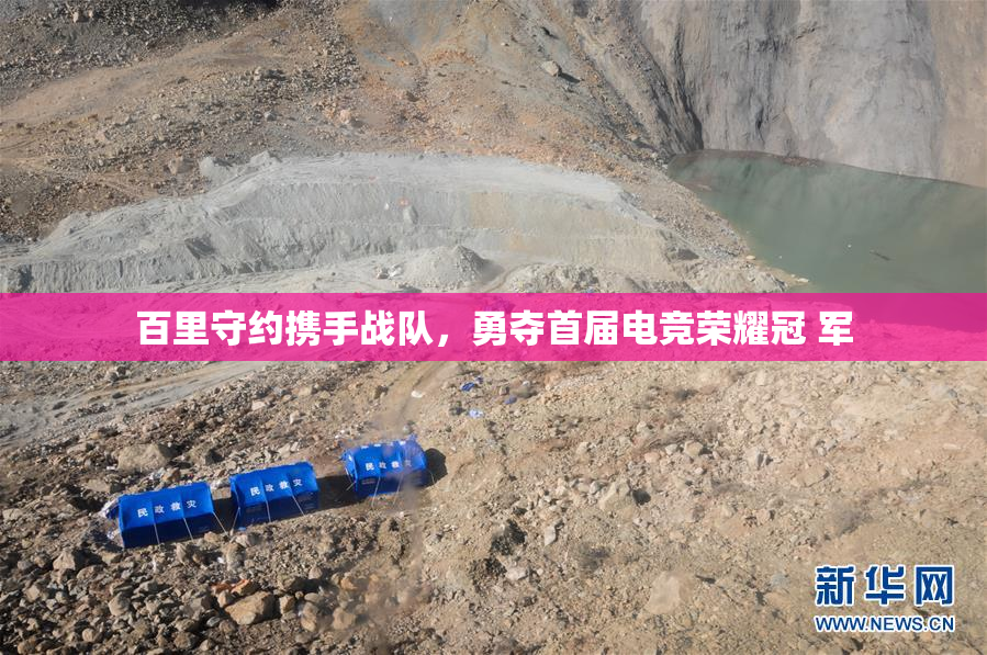 百里守约携手战队，勇夺首届电竞荣耀冠 军