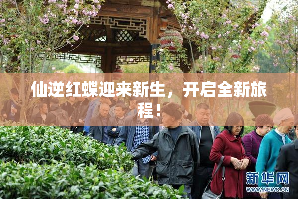 仙逆红蝶迎来新生，开启全新旅程！