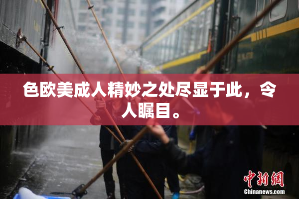 色欧美成人精妙之处尽显于此，令人瞩目。