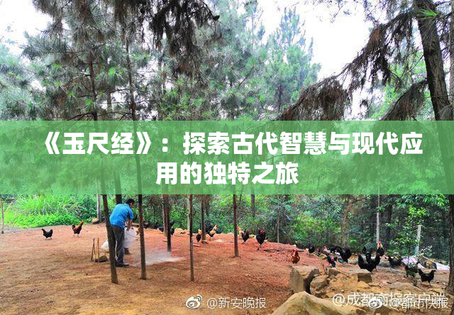《玉尺经》：探索古代智慧与现代应用的独特之旅
