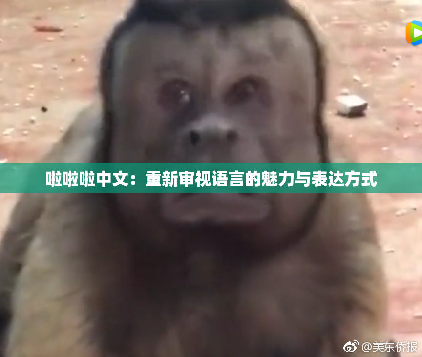 啦啦啦中文：重新审视语言的魅力与表达方式