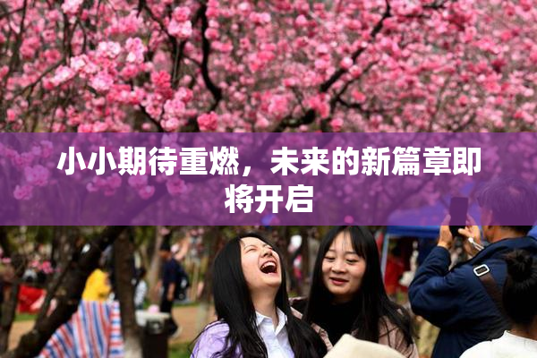 小小期待重燃，未来的新篇章即将开启