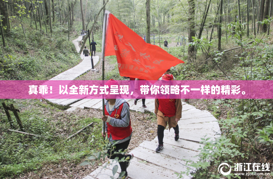 真乖！以全新方式呈现，带你领略不一样的精彩。