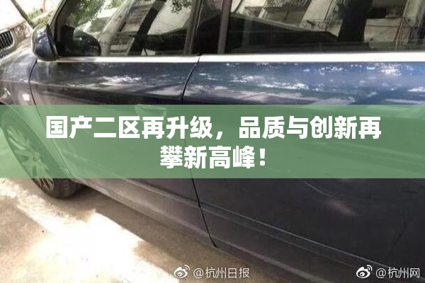 国产二区再升级，品质与创新再攀新高峰！
