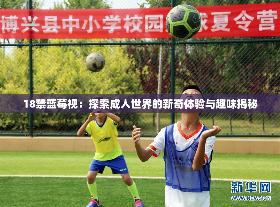 18禁蓝莓视：探索成人世界的新奇体验与趣味揭秘